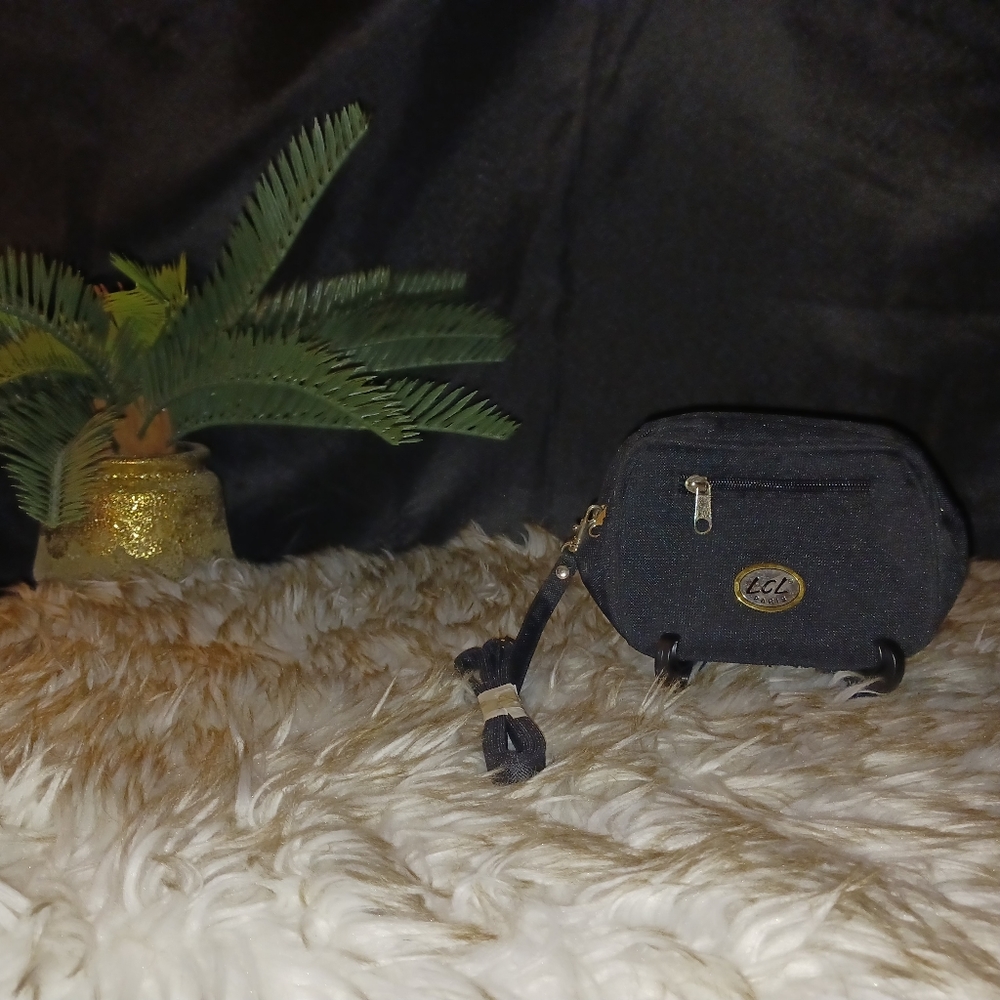 Crossbody bag/fanny pack